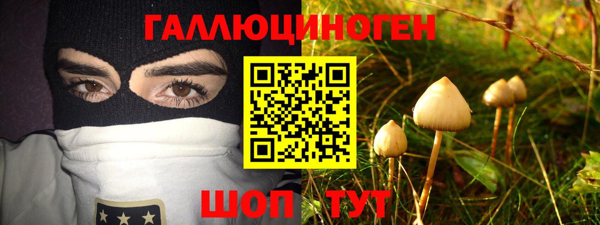 Псилоцибиновые грибы GOLDEN TEACHER  Вход с VPN  Ипатово 