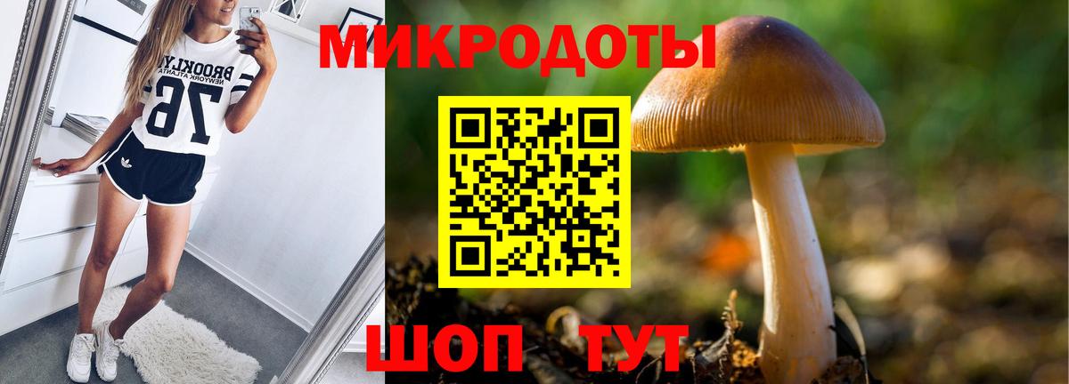 Псилоцибиновые грибы GOLDEN TEACHER Ипатово